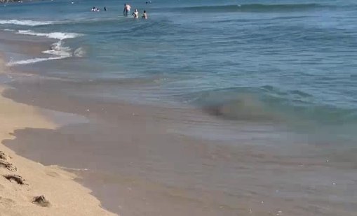 Полски турист се удави в морето край Слънчев бряг