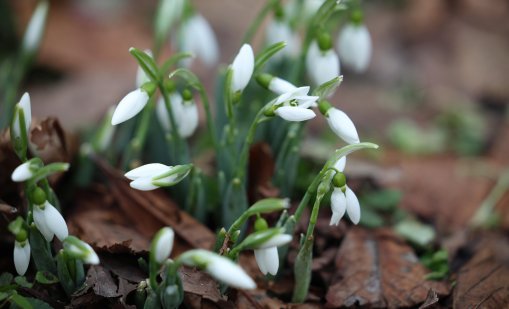 Температурите тръгват нагоре, валежи от дъжд започват утре