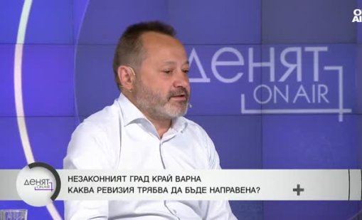 Случаят "Баба Алино": Бивш министър разкри за чадър от ГЕРБ над шефката на кадастъра