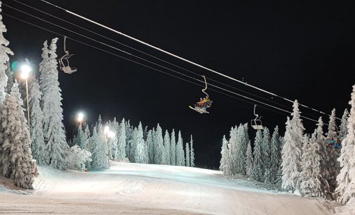 Витоша открива сезона с нощно каране на Витошко лале