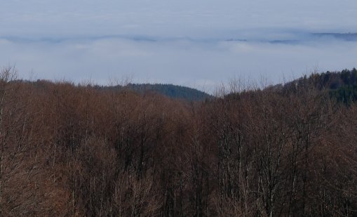 По билото на Стара планина вече има снежна покривка
