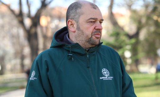 Явор Гечев за мъчителите на животнии от Свищовско:  Изпечени убийци и садисти