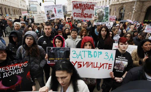 Поредни протести днес срещу насилието над животни