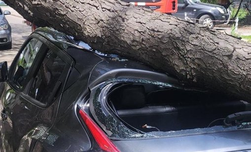 Паднали спирки, дървета и стълбове във Враца