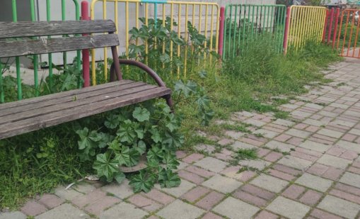 Високи треви, счупени площадки и тригодишен пясък, къде играят децата ни?