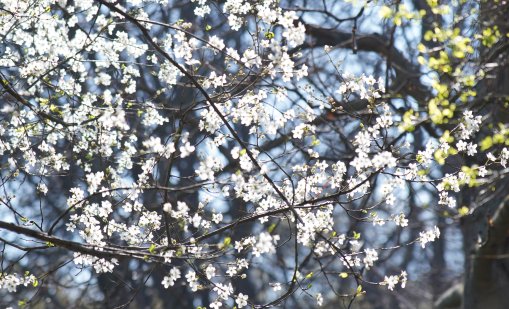 Времето днес: слънчево и ветровито