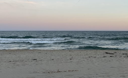 Проверка: Няма видими замърсявания от мазут на плажа или в морето край Варна