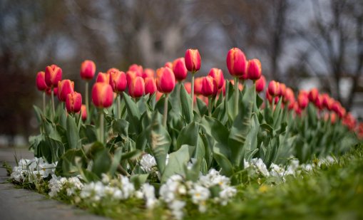 Слънчево време утре, градусите се качват още малко