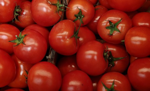 БАБХ: Спрени са над 370 тона храни от трети страни за месец