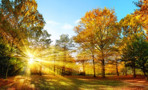 Днес слънчево и тихо, идеално за излет