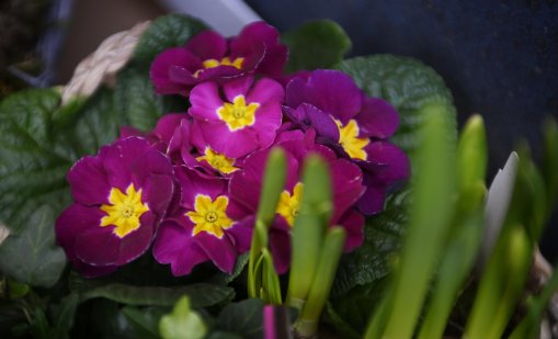 Предимно слънчево ще е днес, с температури до 12&deg;