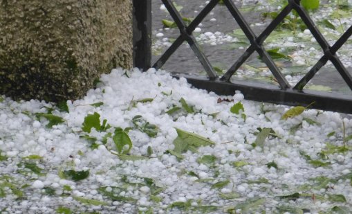 Градушка като орех удари Крумовград