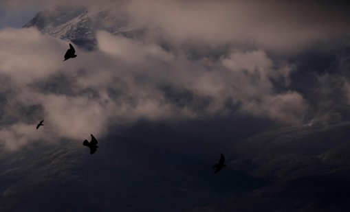 Времето днес: жълт код за силен вятър