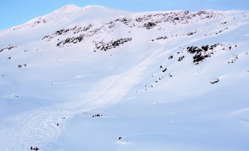Защо Швеция предлага безплатен престой в тиха горска хижа?