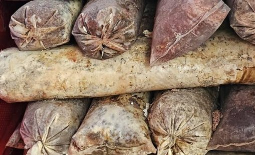 БАБХ затвори кланица в Радиново, хигиена нулева