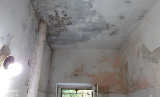 Затворници се друсат със съмнителна дрога, в нея - отрова за дървеници? 