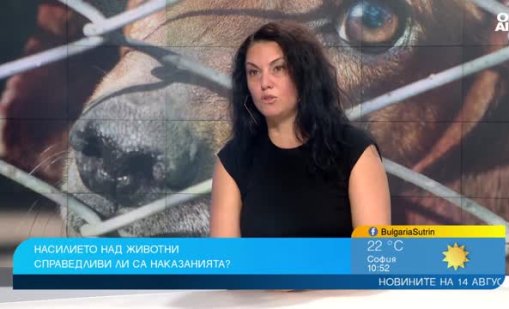 Случаите с насилие над животни зачестяват, наказания са по-тежки