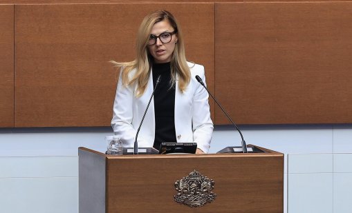 Петрова за Искандер Махмудов: Защитаваме националния интерес