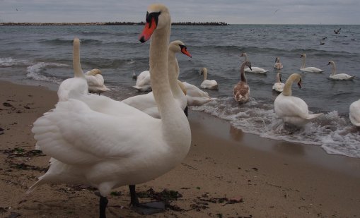 Предимно слънчево ще е утре, с температури до 12&deg;
