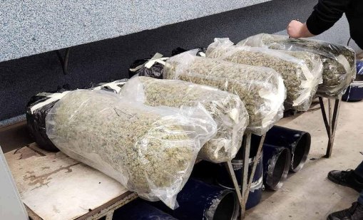 През ноември: Задържани 1103 души за престъпления, свързани с дрога 