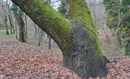 Мъглива събота в равнини и котловини, в останалата част ще бъде слънчево