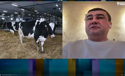 Млекопреработвателите на ръба за сметка на мляко с барут от Украйна