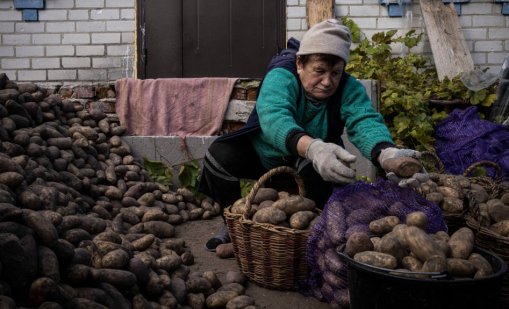Картофена криза в Русия: Министри ги изключиха от диетата си, за да имало за народа 