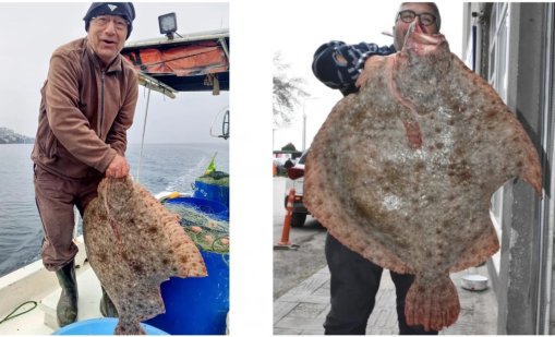 Извадиха гигантски 15-килограмов калкан в Черно море