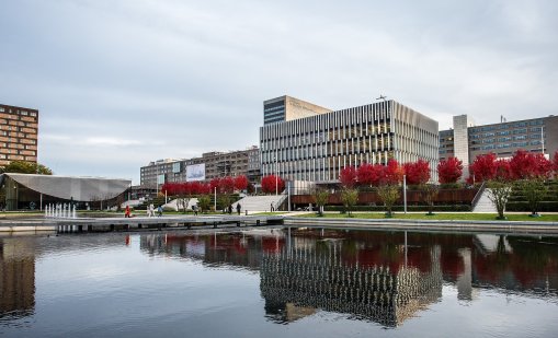Български стратег спечели глобалното лидерско състезание на Procter & Gamble