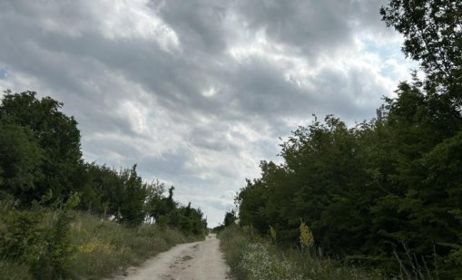 Заради пантерата: Отложиха състезанието "Шуменско плато 2025"