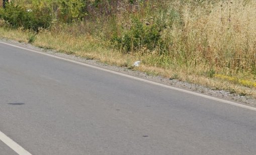 Жена загина при катастрофа край Монтана