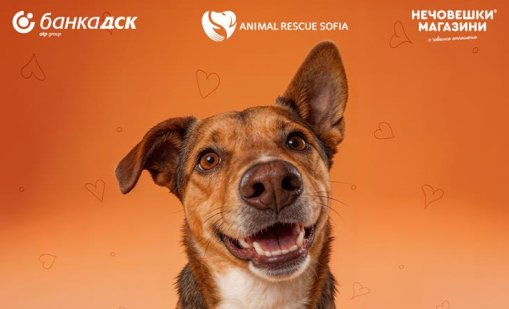 Банка ДСК и Animal Rescue Sofia стартират кампания &bdquo;Точно за теб&ldquo; в подкрепа на осиновяването на домашни любимци