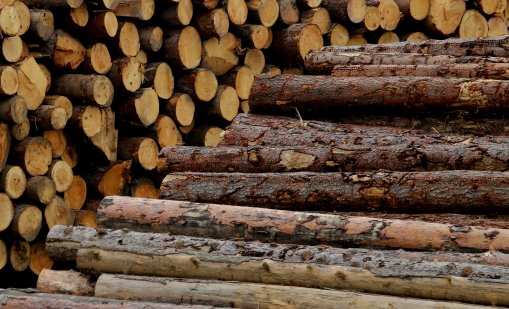 Колко ще ни струва отоплението тази зима? 