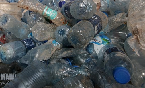 Нанопластмасите са сериозна заплаха за бъбреците