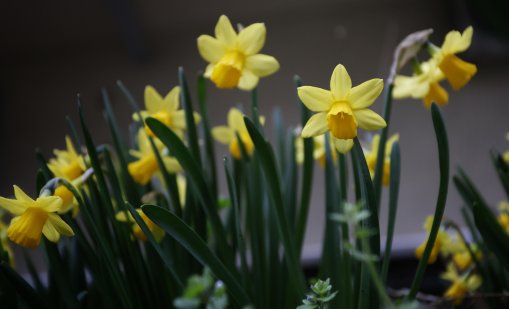 Времето без промяна утре - облачно, студено, дъждовно
