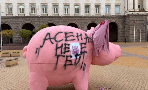 Депутат от ДПС-НН нашари със спрей прасето касичка, окичи го с розов пеньоар ВИДЕО