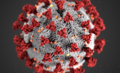 Ексхумират 150 починали от COVID-19 в гръцкия град Кавала