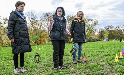 Новата мания хоби-догинг - разхождаш каишка без куче, говориш й, събираш ако