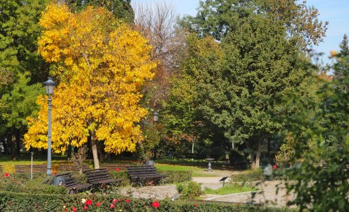 Очаква ни слънчев уикенд, утре градусите до 24