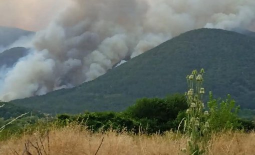 Заваля дългоочакваният дъжд над големия пожар край Плоски