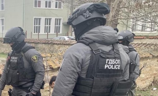 Зебра предизвика хаос по пътищата в Тенеси, избяга от собственика си ВИДЕО