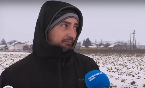 Земеделец зарови 50 тона зеле заради ниски изкупни цени