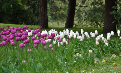 Слънцето ще се показва утре, температурите до 16&deg;