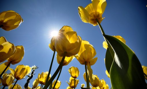 Времето днес: Слънчево, вятърът отслабва