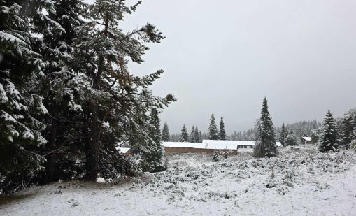 Снежна Коледа в Северна България и по пътищата, на останалите места ще вали дъжд