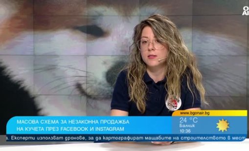 &ldquo;Четири лапи&rdquo; алармира за незаконна продажба на кучета в социалните мрежи