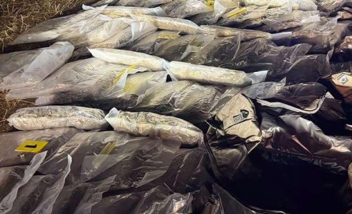 Акция в Старозагорско: Иззеха близо 250 грама марихуана