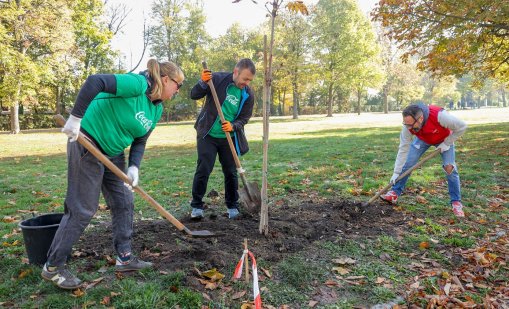 Кока-Кола ХБК отбелязва 60 години Кока-Кола в България със засаждане на 60 дървета в сърцето на София