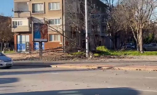  Силен вятър нанася щети в Пловдив, има изтръгнати дървета ВИДЕО