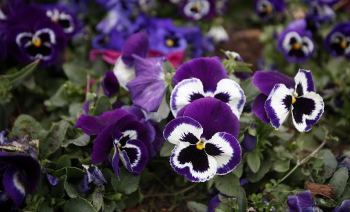 Облачно с валежи от дъжд на много места ще е утре